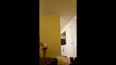 Snapshot of greenvertgo chatting on 12-15-25, 12:59 greenvertgo online show from 12-15-25, 12:59