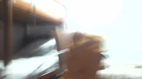 Snapshot of gregory_x chatting on 01-03-25, 03:38 Gregory max online show from 01-03-25, 03:38