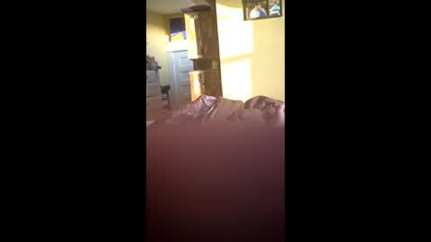 grizzely1975 online show from 11-24-25, 02:06