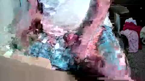 gtr345 online show from 04-07-26, 06:03