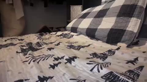 gumbywanna online show from 12-29-24, 12:09