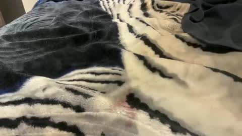 gumbywanna online show from 10-24-25, 03:25