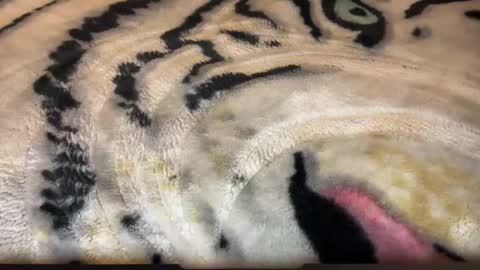 Snapshot of gumbywanna chatting on 03-02-26, 06:58 gumbywanna online show from 03-02-26, 06:58