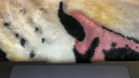 Snapshot of gumbywanna chatting on 03-09-26, 06:06 gumbywanna online show from 03-09-26, 06:06