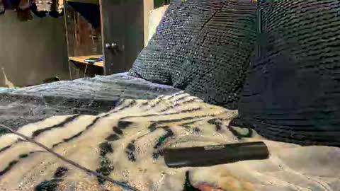 Snapshot of gumbywanna chatting on 03-15-26, 02:39 gumbywanna online show from 03-15-26, 02:39