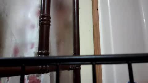 gustarity777 online show from 07-18-26, 05:55