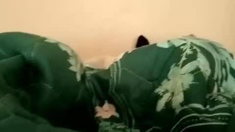 guttybeton online show from 04-17-26, 06:16