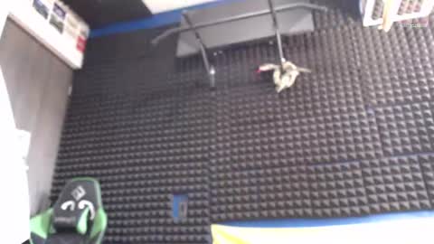 Gymbro42 online show from 08-07-26, 05:37