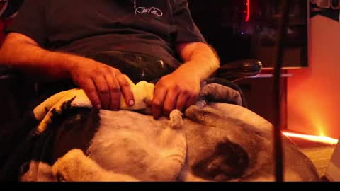 h0tttsteel online show from 12-18-24, 01:12