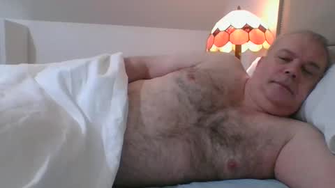 Snapshot of haggisstop chatting on 01-08-25, 09:21 haggisstop online show from 01-08-25, 09:21