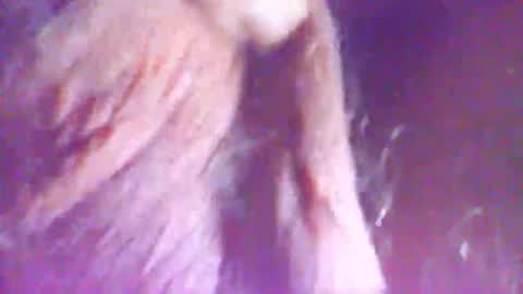 hagridthehorrible online show from 12-05-25, 11:30