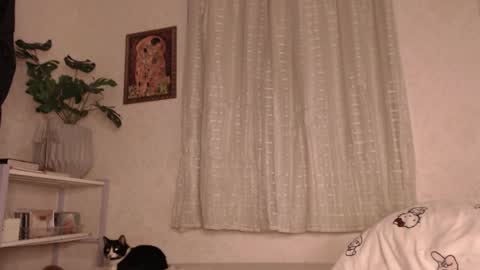 haidyhaven online show from 06-11-26, 02:53