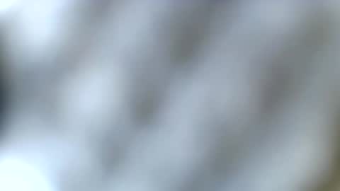 tatted blonde online show from 12-23-25, 03:59