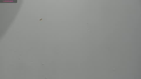 Hailey online show from 04-02-26, 11:57