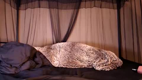 HailWilds online show from 09-12-25, 06:35