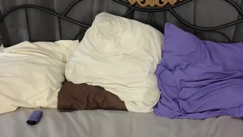 Lylu online show from 02-03-26, 02:53