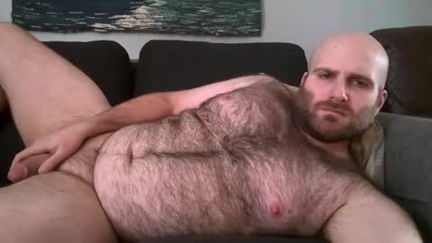 Hairiest Bear online show from 02-11-25, 04:02