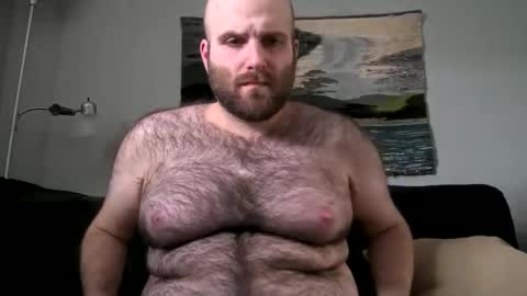 Hairiest Bear online show from 02-17-25, 07:42