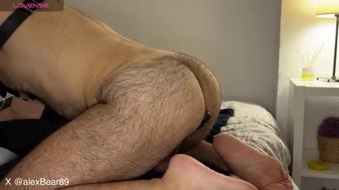 Snapshot of hairyarabbear chatting on 09-12-25, 09:48 hairyarabbear online show from 09-12-25, 09:48