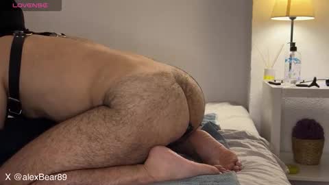 Snapshot of hairyarabbear chatting on 09-13-25, 11:59 hairyarabbear online show from 09-13-25, 11:59