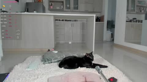 insta Laupalacio777Next stream 01th December online show from 12-12-24, 10:52