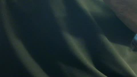 Snapshot of hamhead71 chatting on 12-27-24, 06:20 hamhead71 online show from 12-27-24, 06:20