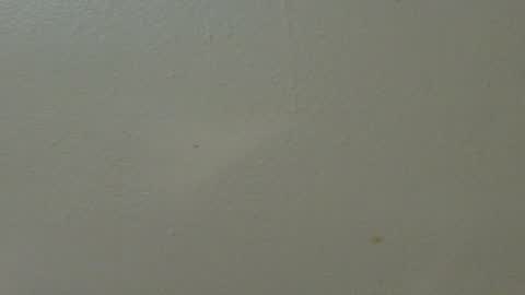 Snapshot of hamhead71 chatting on 02-07-25, 01:36 hamhead71 online show from 02-07-25, 01:36