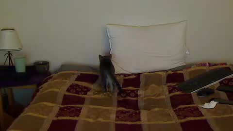 hammerthatthang73 online show from 10-14-25, 08:59