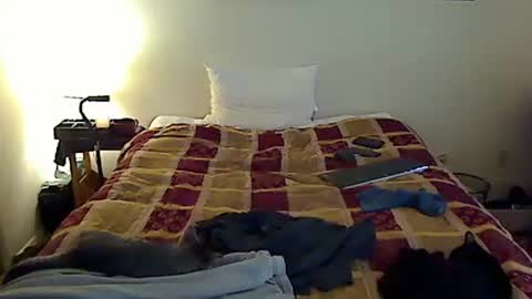 hammerthatthang73 online show from 11-06-25, 06:42