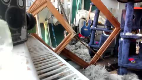 handncocknocum online show from 02-28-25, 07:15