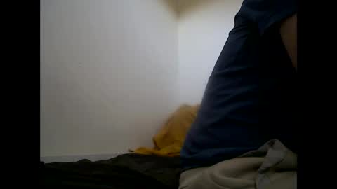 handsomepenis20cm online show from 04-29-26, 04:22