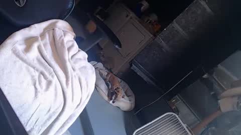 Snapshot of handystud33 chatting on 06-03-26, 04:01 handystud33 online show from 06-03-26, 04:01