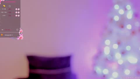 Snapshot of hanna_lee02 chatting on 12-17-24, 04:11 Hanna Lee online show from 12-17-24, 04:11