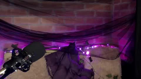 Snapshot of hannah_valhalla chatting on 12-16-25, 02:05 Hannah online show from 12-16-25, 02:05