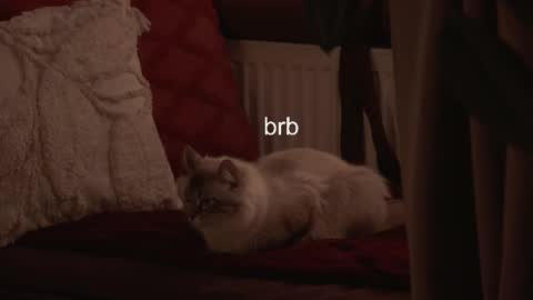 Hanna online show from 02-03-26, 06:40