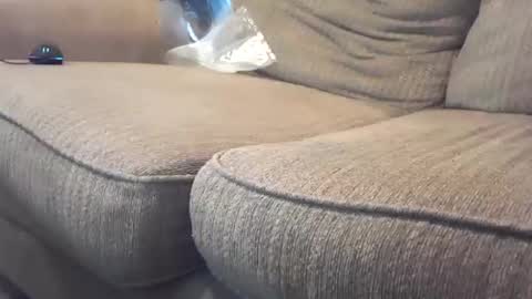 hardcock2share online show from 02-04-25, 10:55