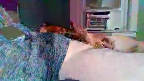 cervixpainter25 online show from 11-03-25, 02:02