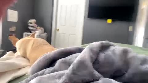 hardnthickm55 online show from 01-17-25, 04:04