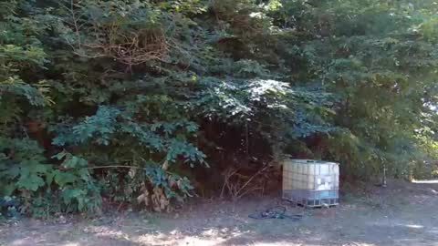 hardworkertn online show from 09-23-25, 06:33