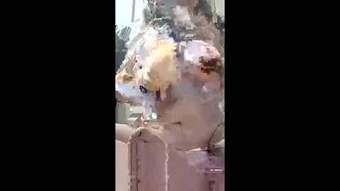 harleen848 online show from 05-10-26, 10:31