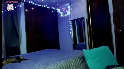 Snapshot of harleynapier chatting on 02-24-25, 11:19 Natii online show from 02-24-25, 11:19