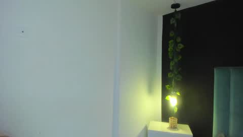 Snapshot of harleyqueen_robbie chatting on 12-21-24, 11:34 harleyqueen_robbie online show from 12-21-24, 11:34