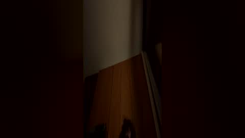 Snapshot of harlithe chatting on 07-06-26, 01:46 harlithe online show from 07-06-26, 01:46
