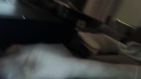 Snapshot of harrishamptons chatting on 03-16-26, 12:17 HarrisHamptons online show from 03-16-26, 12:17