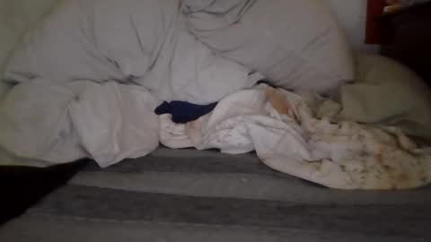 harry1cannary online show from 10-07-25, 08:22