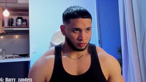 Harry Zandes online show from 02-13-25, 04:22