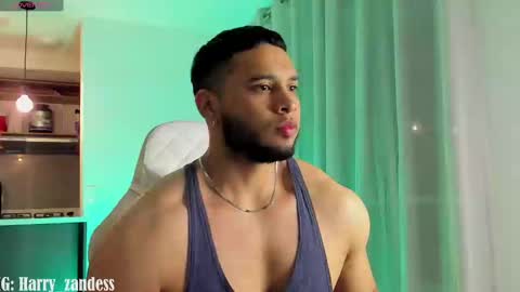 Harry Zandes online show from 02-25-25, 04:03