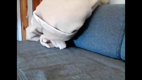 havier282874 online show from 05-22-26, 08:53
