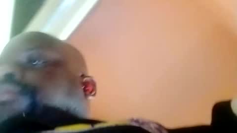 hbdj2164 online show from 02-23-25, 03:40