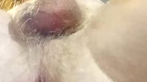 hcross2448 online show from 02-22-25, 03:01